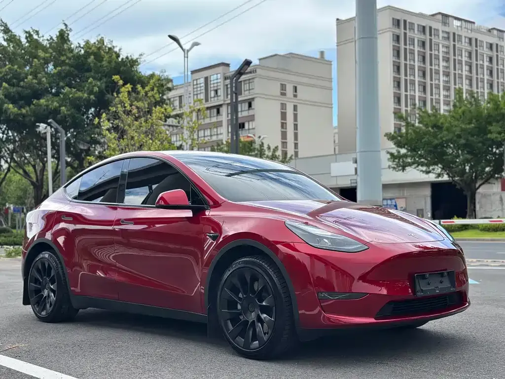 Tesla Model Y — фото 10