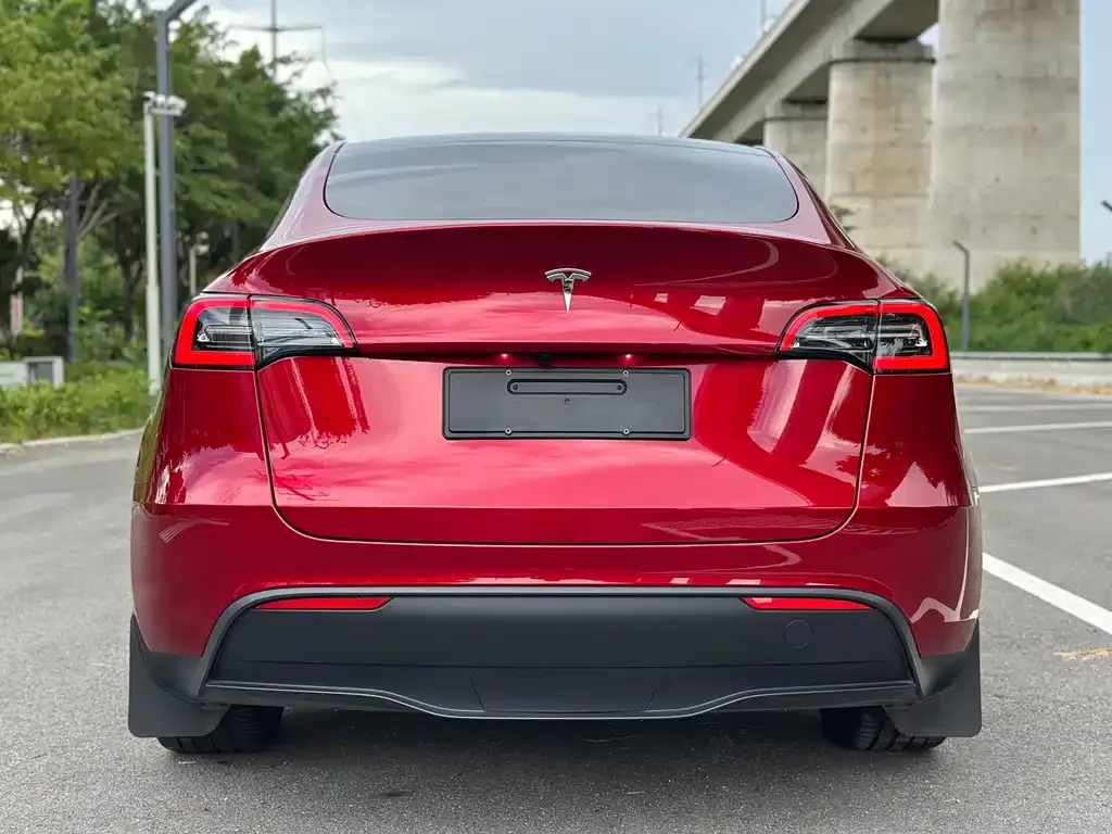 Tesla Model Y — фото 8