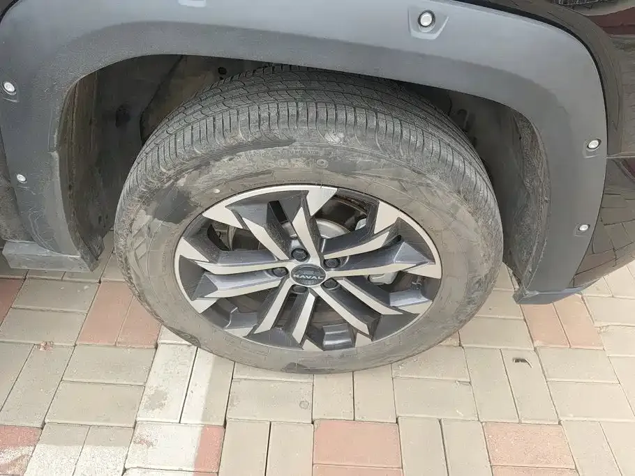 Haval H7 (Big Dog Plus) — фото 6