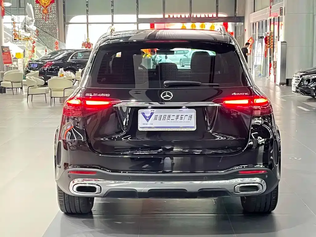 Mercedes-Benz 奔驰GLE(进口) — фото 9