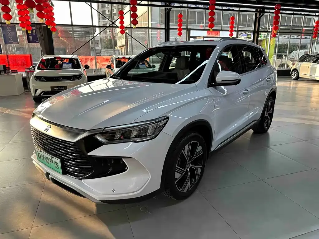 BYD Pro New Energy — фото 1