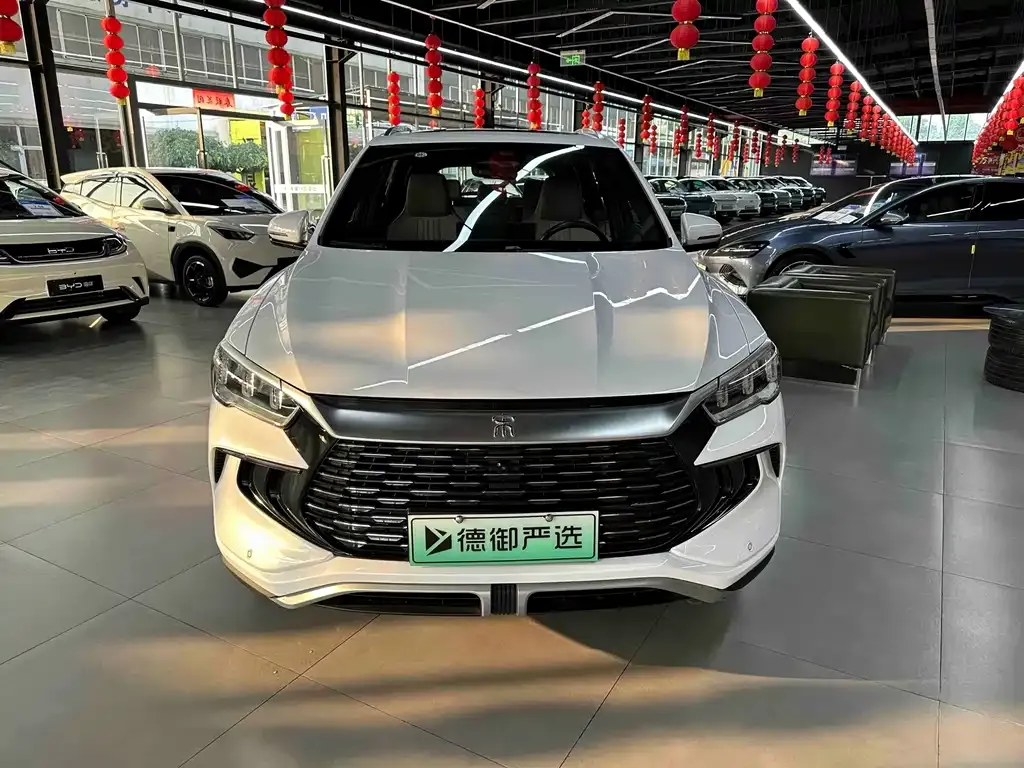 BYD Pro New Energy — фото 5