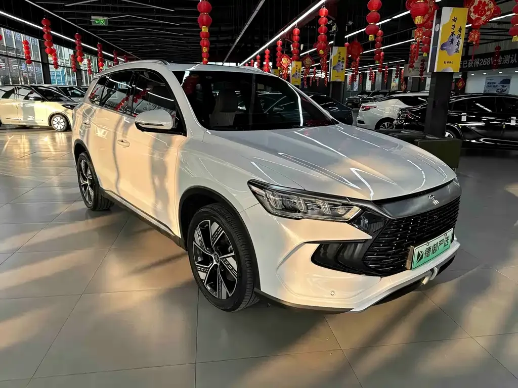 BYD Pro New Energy — фото 10