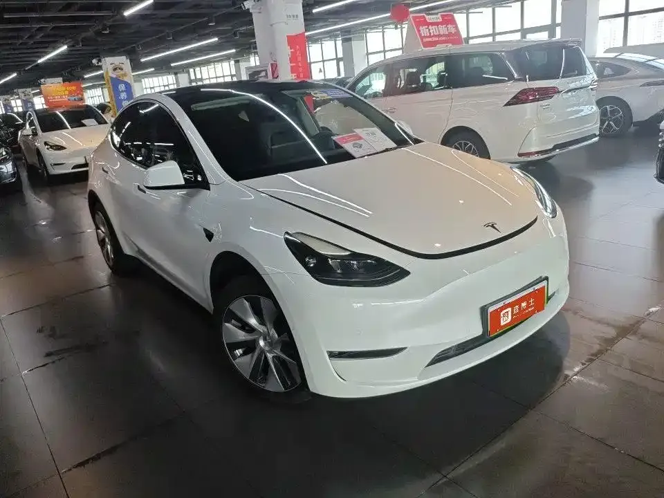 Tesla Model Y — фото 1