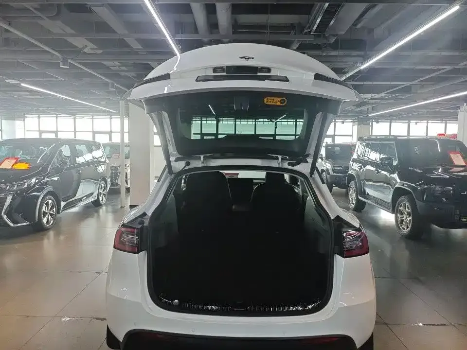 Tesla Model Y — фото 4