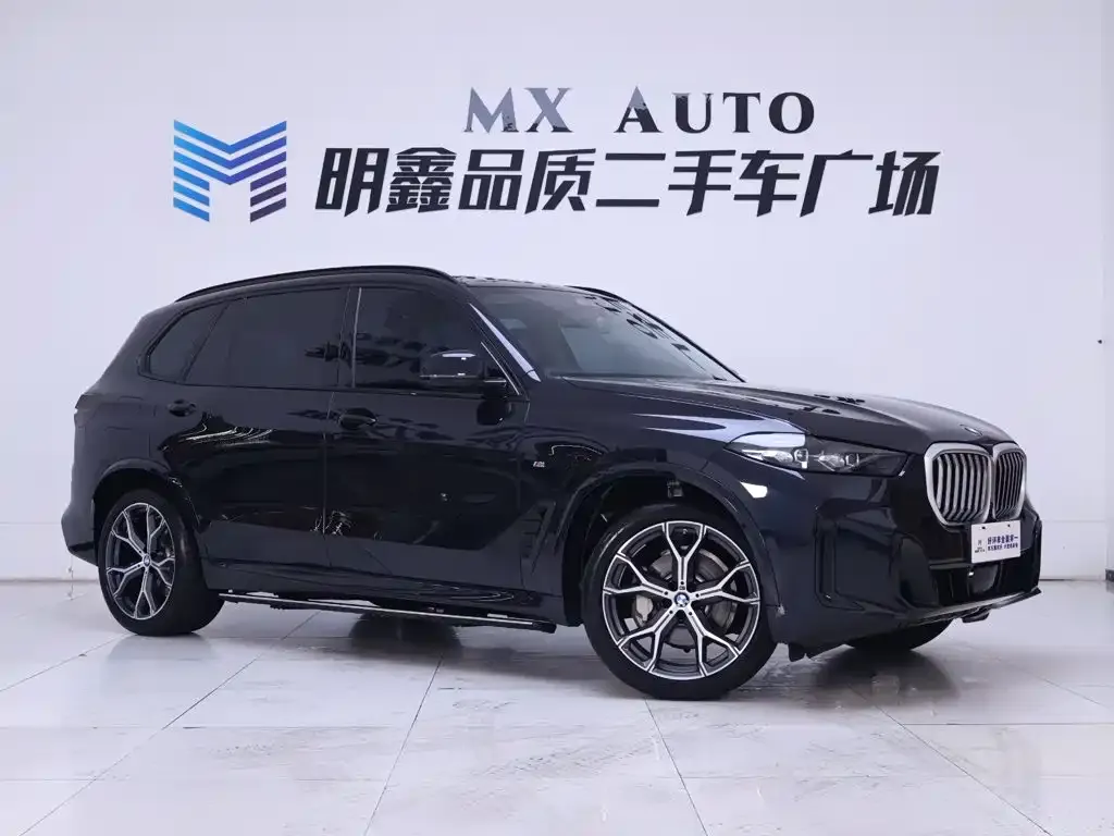 BMW X5 — фото 10