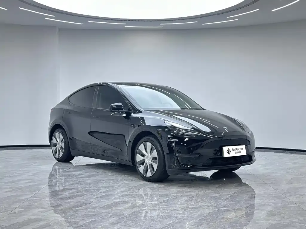 Tesla Model Y — фото 10