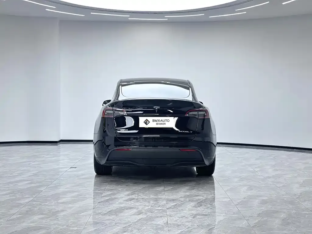 Tesla Model Y — фото 9