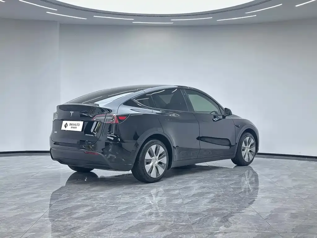 Tesla Model Y — фото 3