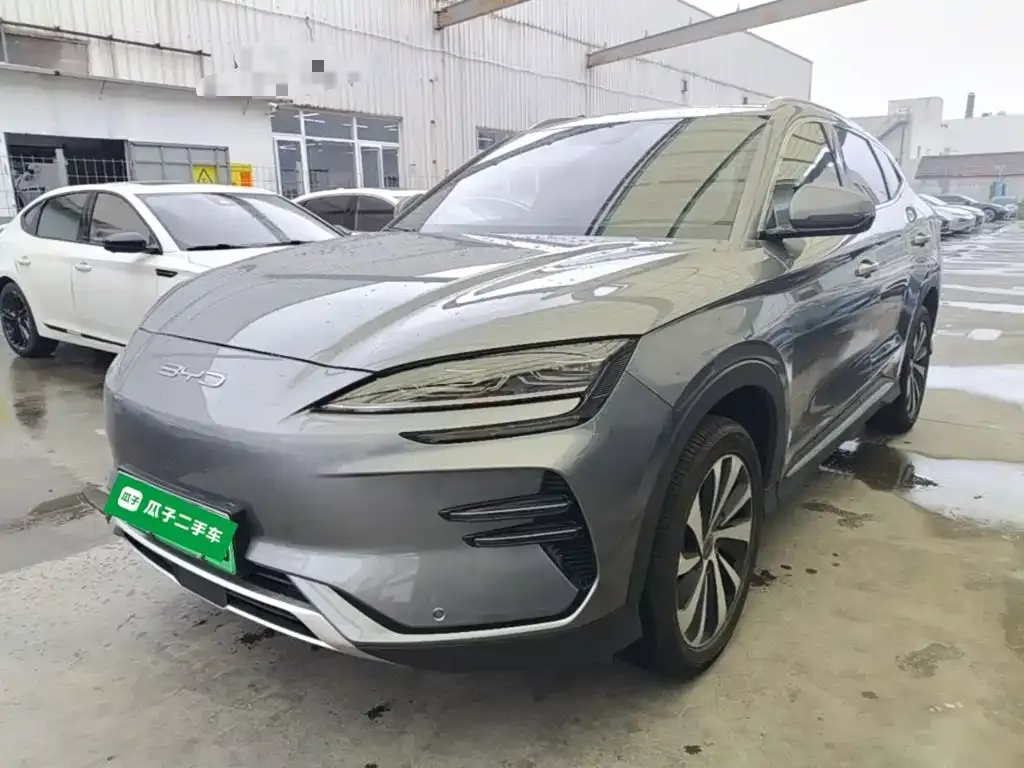 BYD PLUS New Energy — фото 3