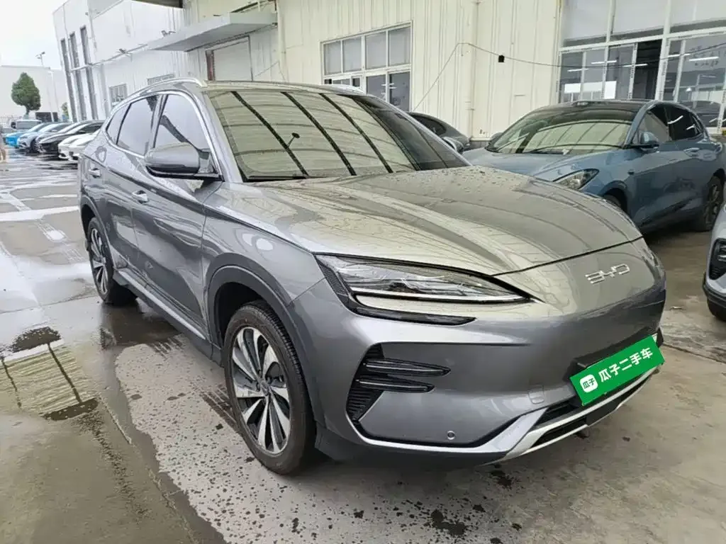 BYD PLUS New Energy — фото 8