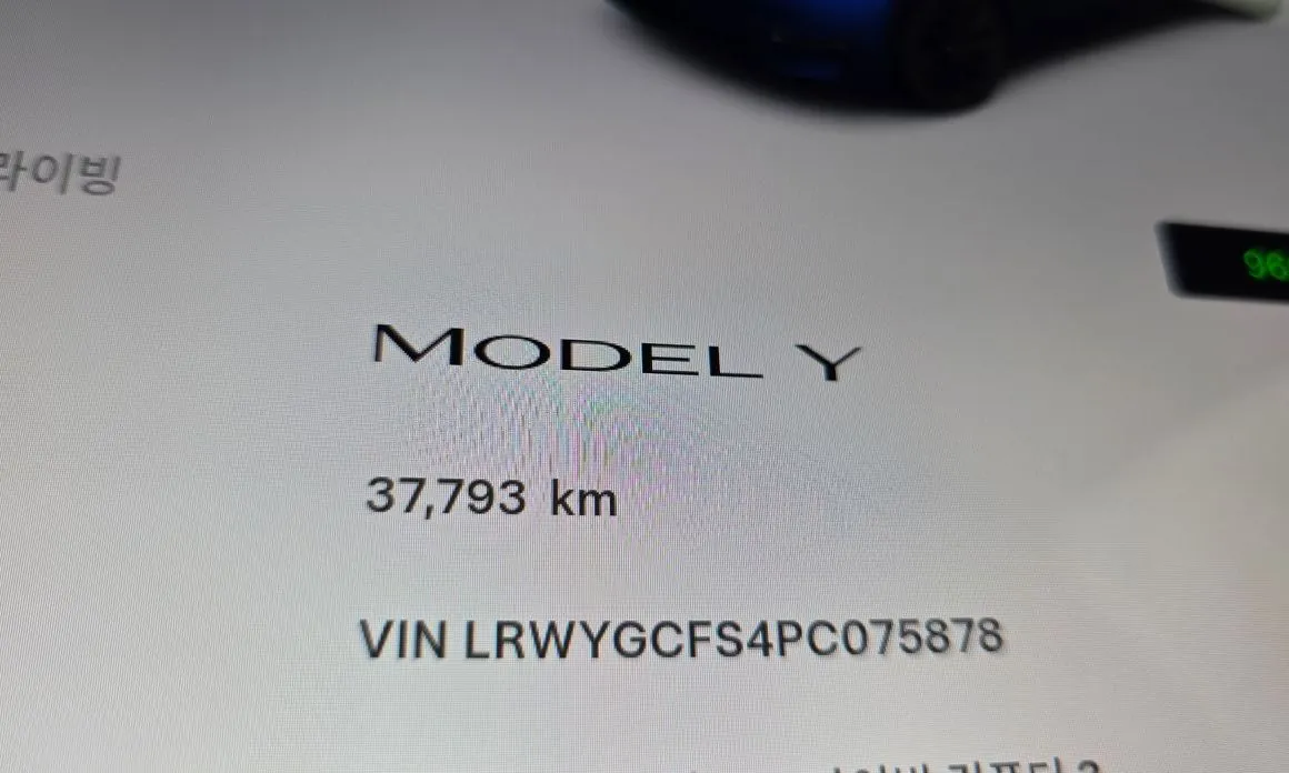 Tesla Model Y — фото 5