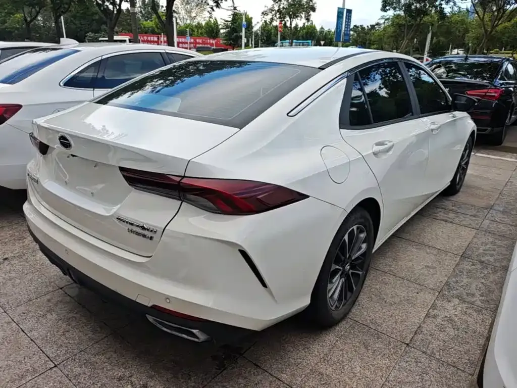 GAC Motor Shadow Leopard — фото 9