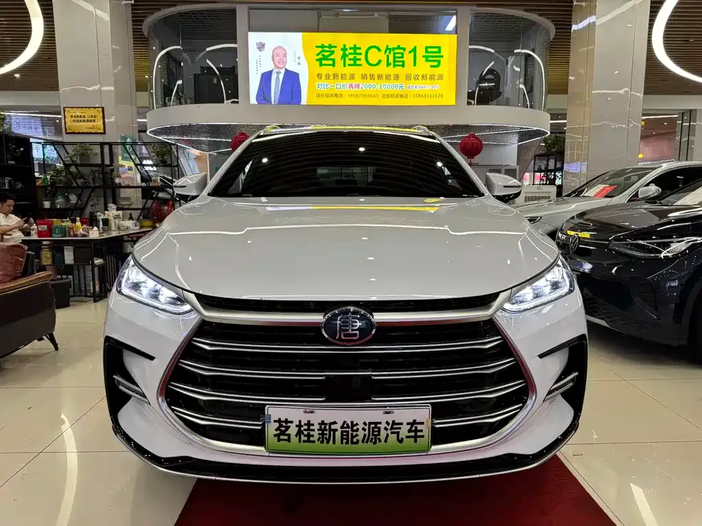 BYD Tang New Energy — фото 6