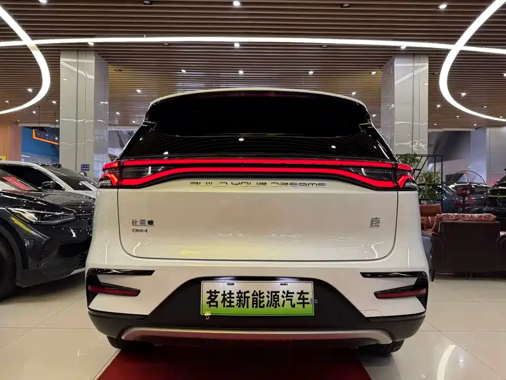 BYD Tang New Energy — фото 5