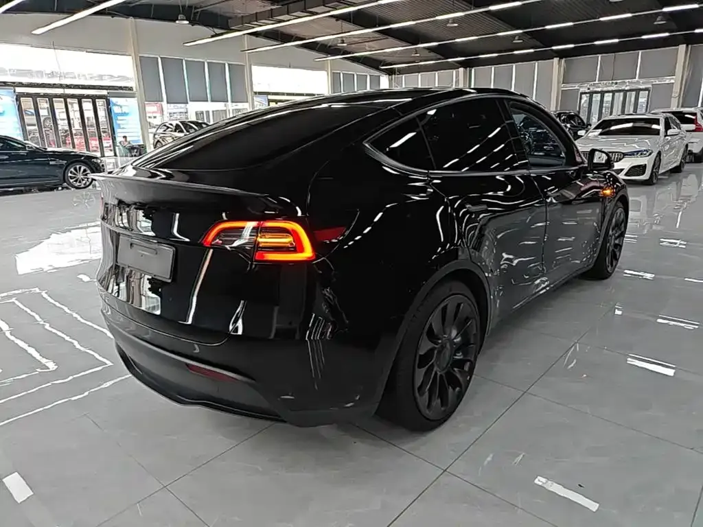 Tesla Model Y — фото 10