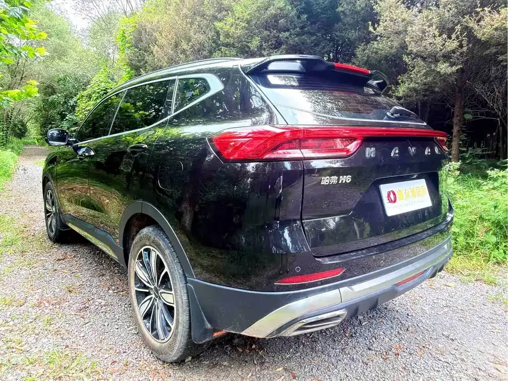 Haval H6 — фото 7