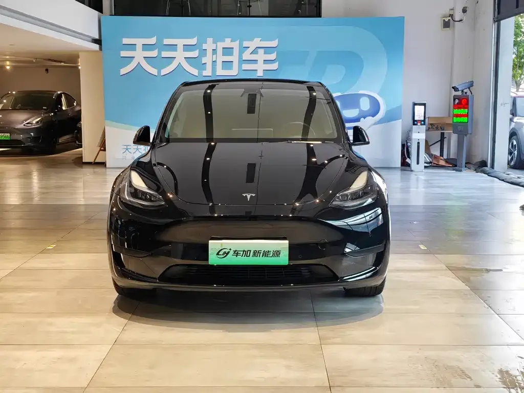 Tesla Model Y — фото 3