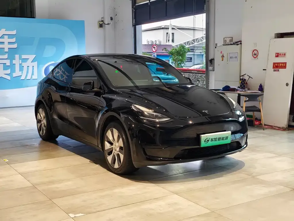 Tesla Model Y — фото 9