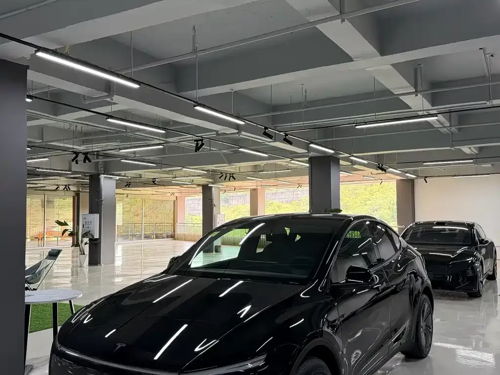 Tesla Model Y — фото 1