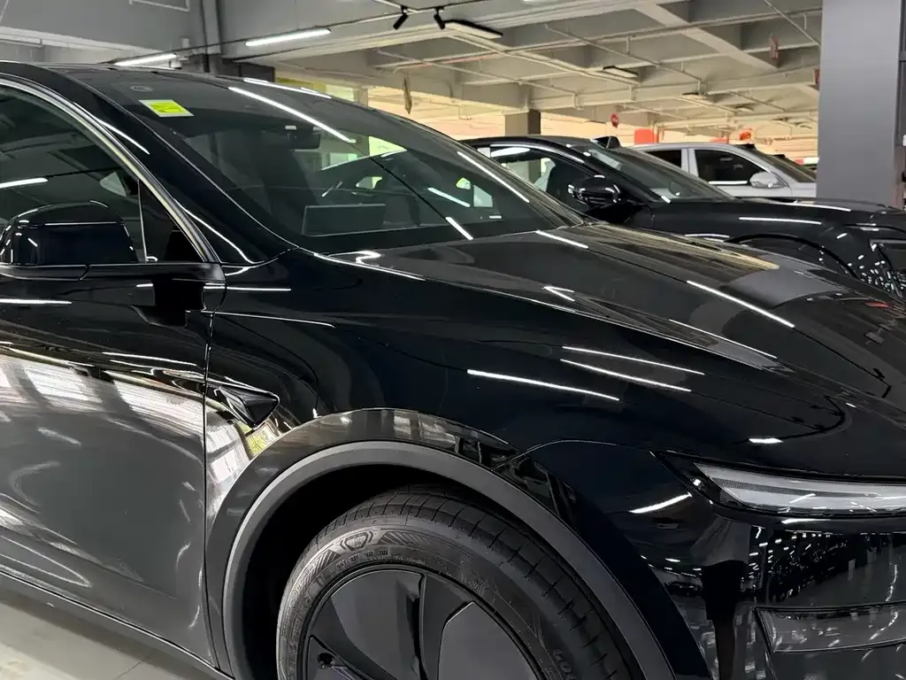 Tesla Model Y — фото 6