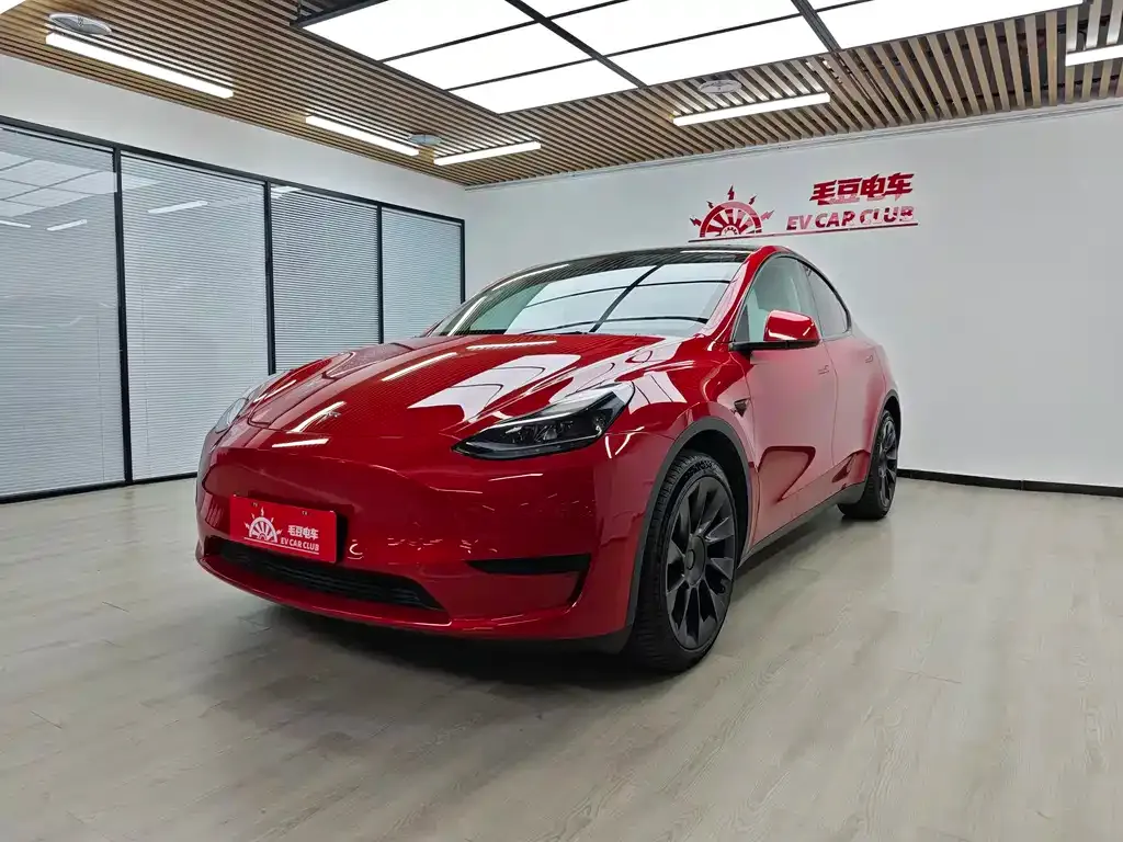 Tesla Model Y — фото 1