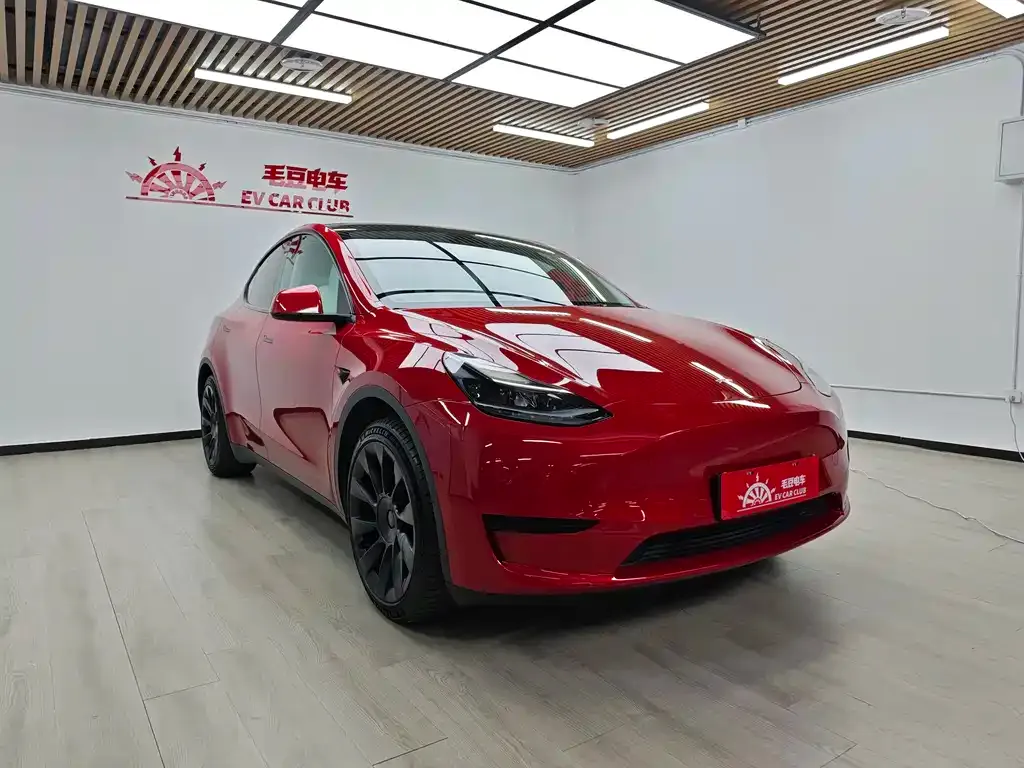 Tesla Model Y — фото 10