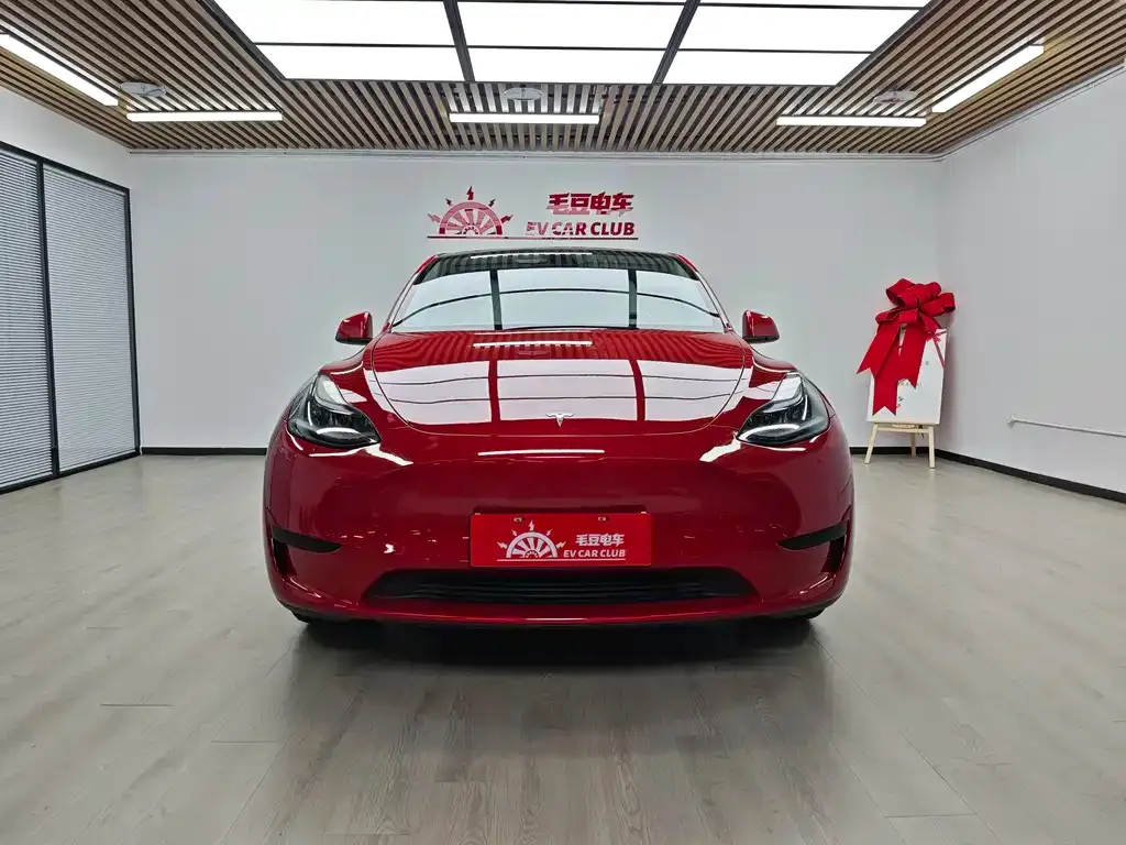 Tesla Model Y — фото 9