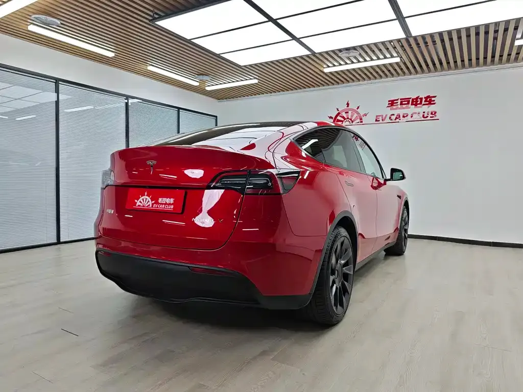 Tesla Model Y — фото 6