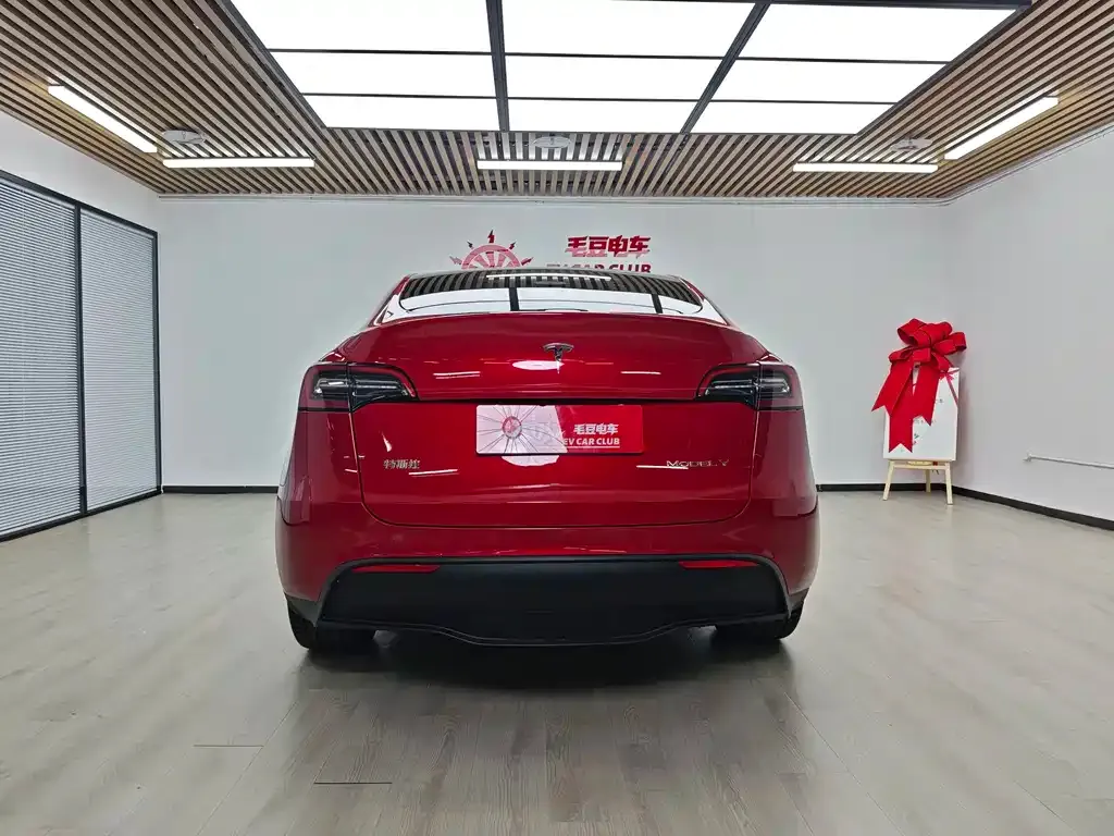 Tesla Model Y — фото 8