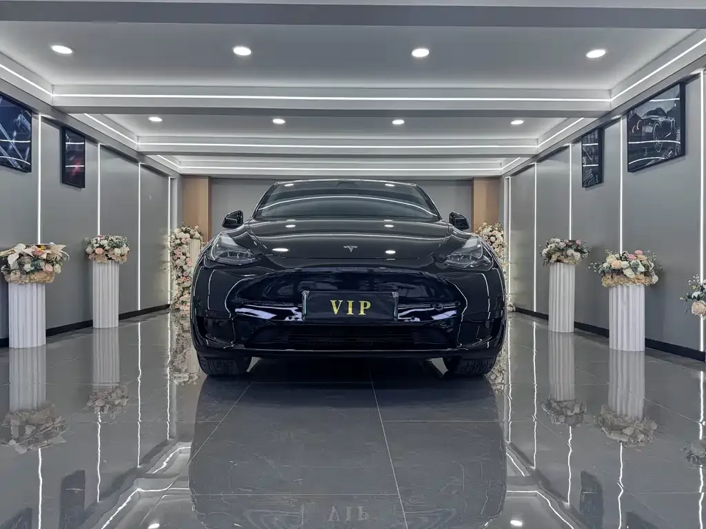 Tesla Model Y — фото 2