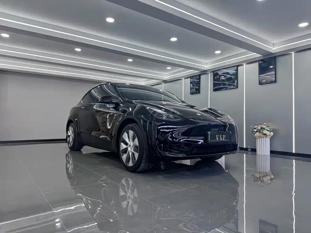 Tesla Model Y — фото 3