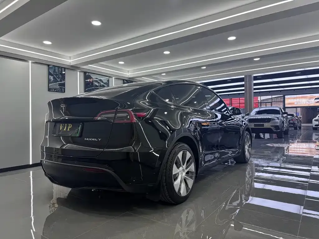 Tesla Model Y — фото 8