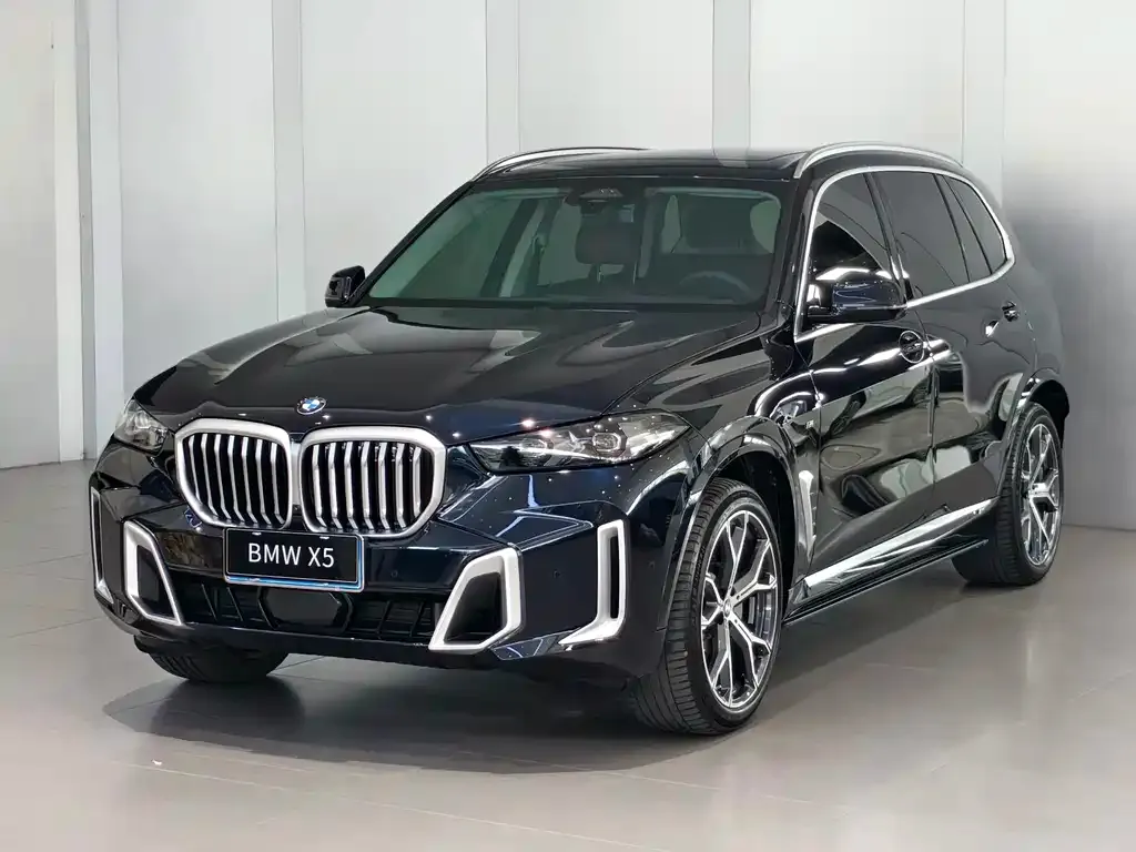 BMW X5 — фото 1