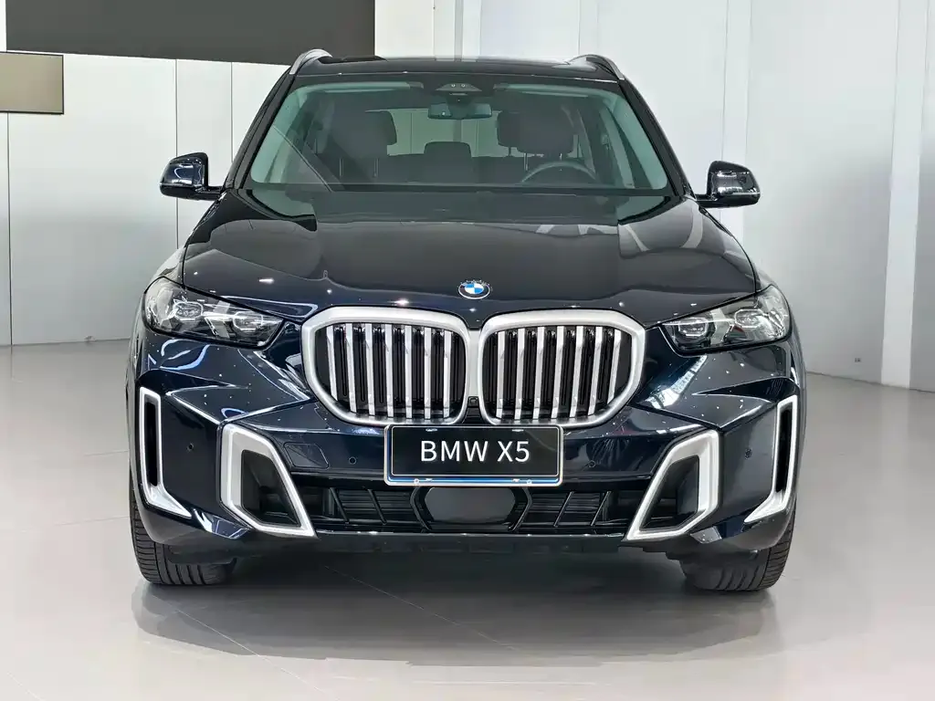 BMW X5 — фото 8
