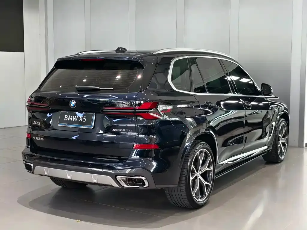 BMW X5 — фото 10