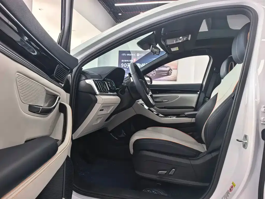 BYD PLUS New Energy — фото 4