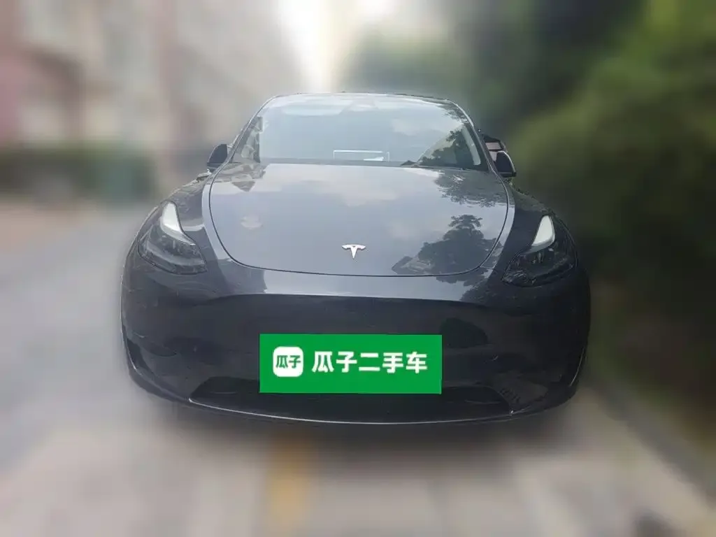 Tesla Model Y — фото 3