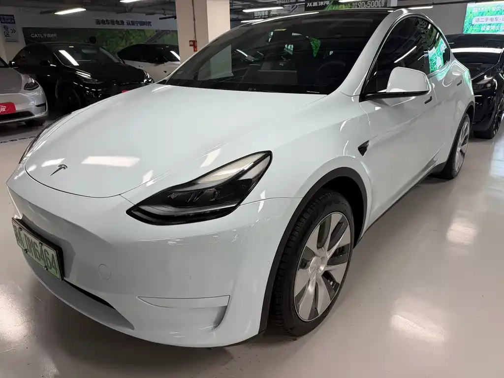 Tesla Model Y — фото 1