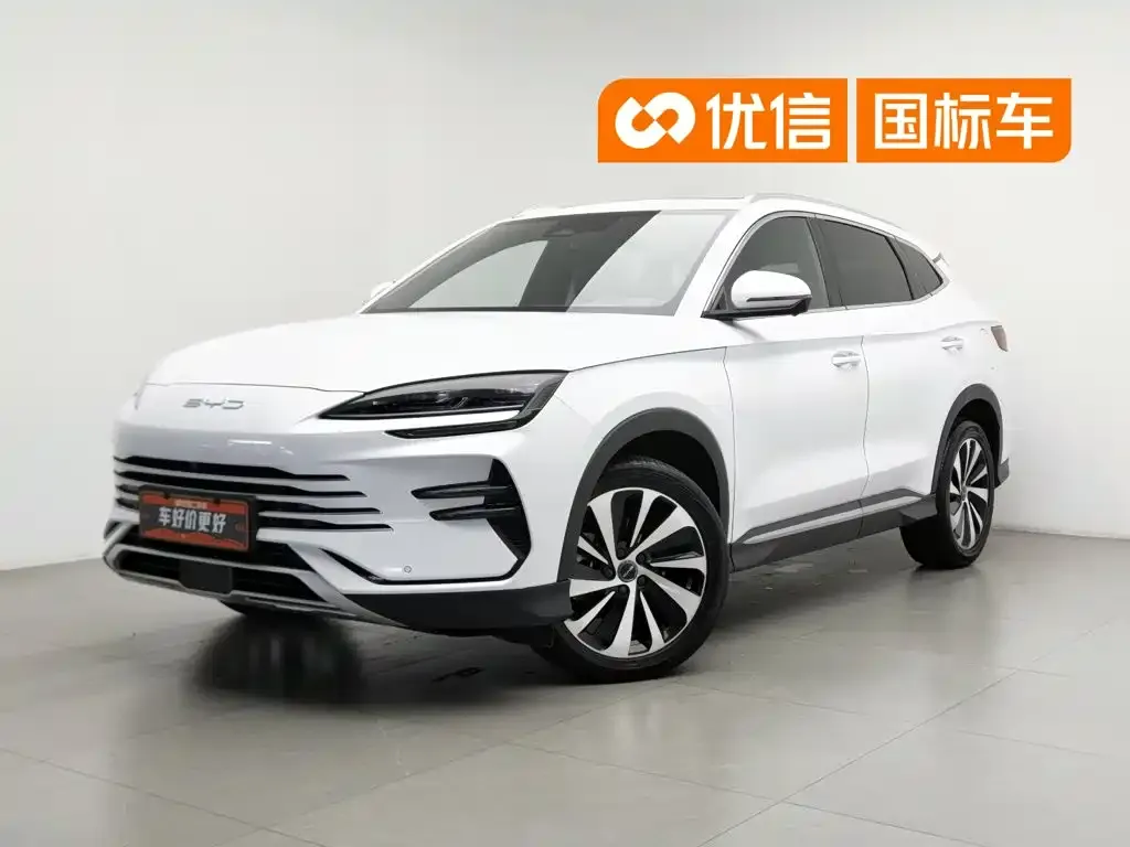 BYD PLUS New Energy — фото 1