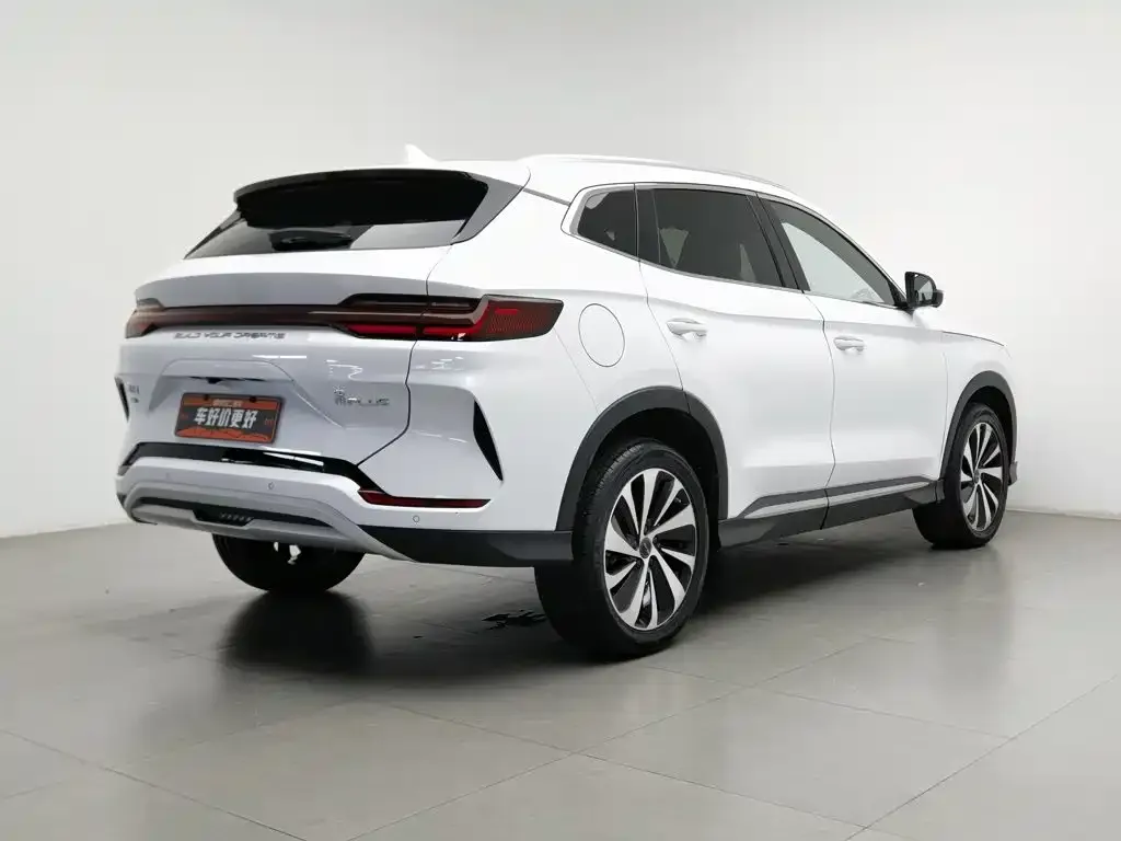 BYD PLUS New Energy — фото 9