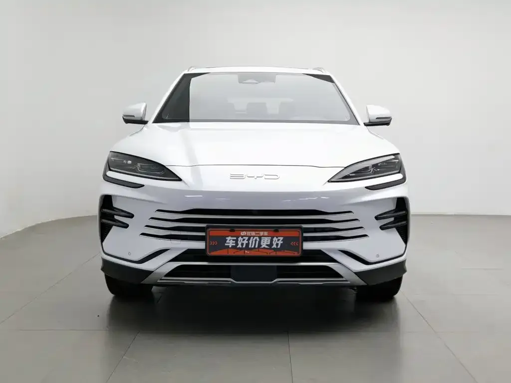 BYD PLUS New Energy — фото 2