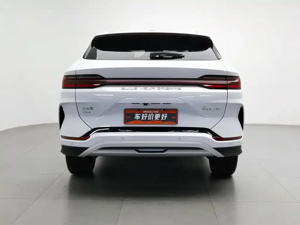 BYD PLUS New Energy — фото 5