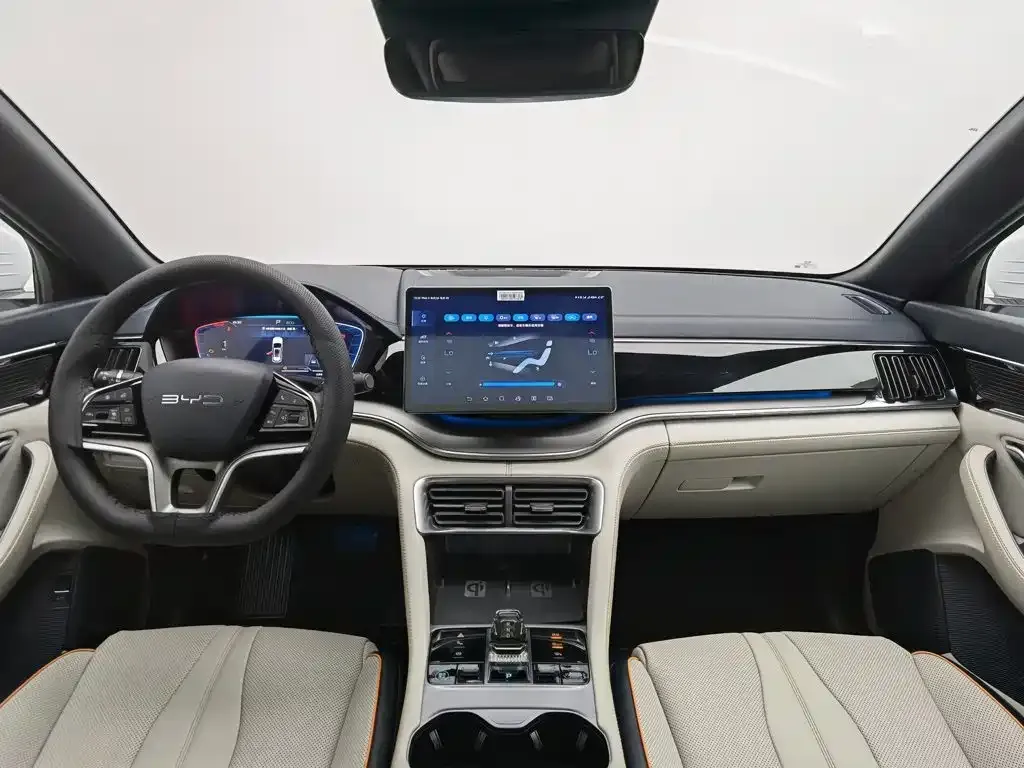 BYD PLUS New Energy — фото 8