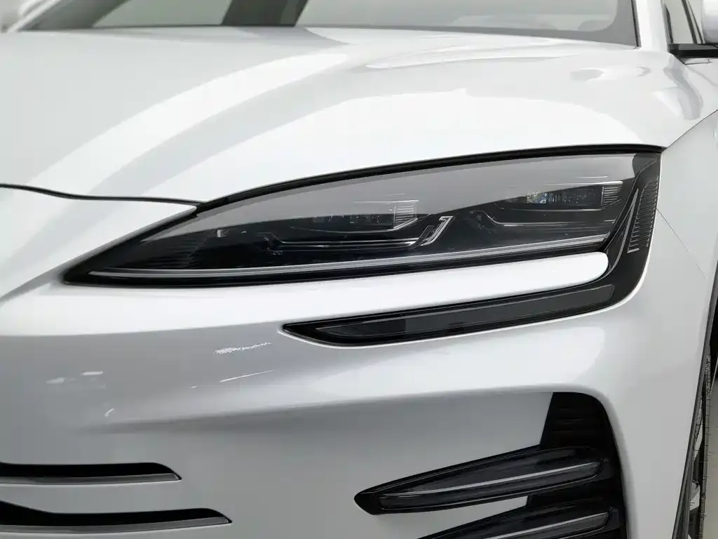 BYD PLUS New Energy — фото 10