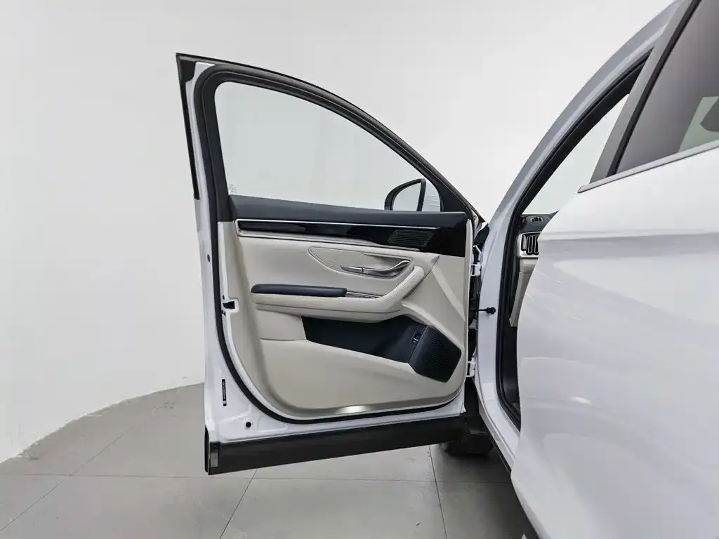 BYD PLUS New Energy — фото 4