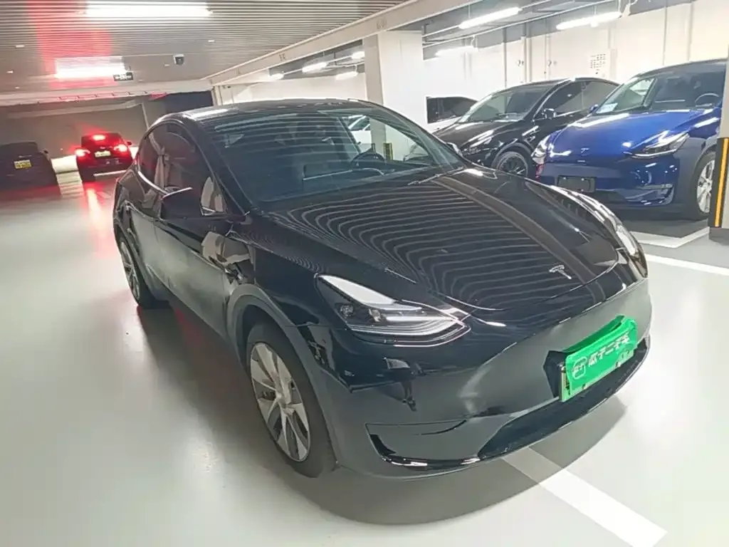 Tesla Model Y — фото 10