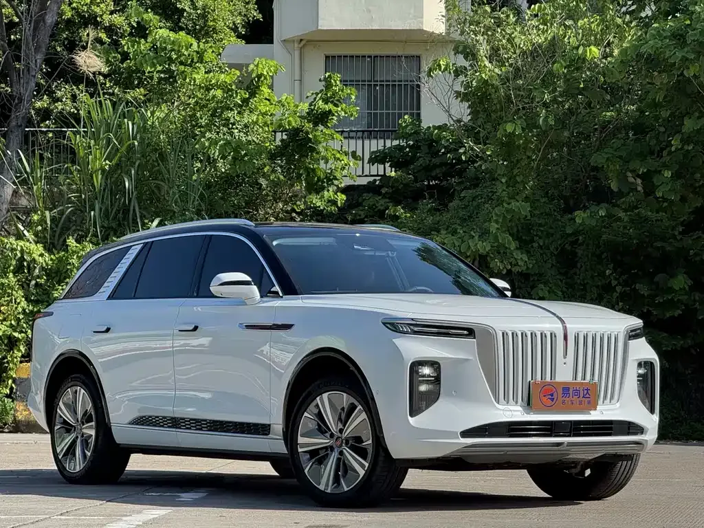 Hongqi E-HS9 — фото 10