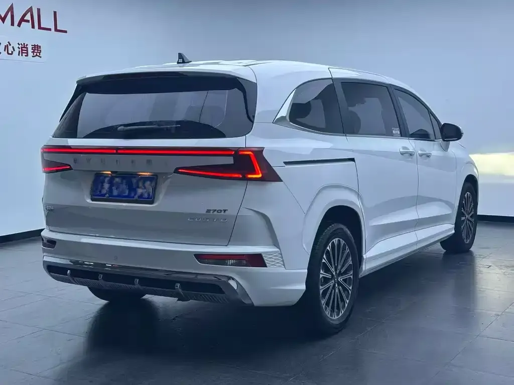 Hyundai Custo — фото 8