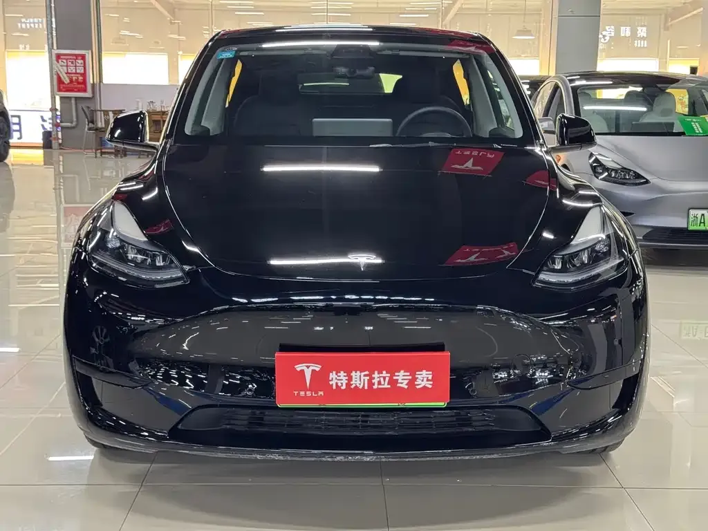 Tesla Model Y — фото 2